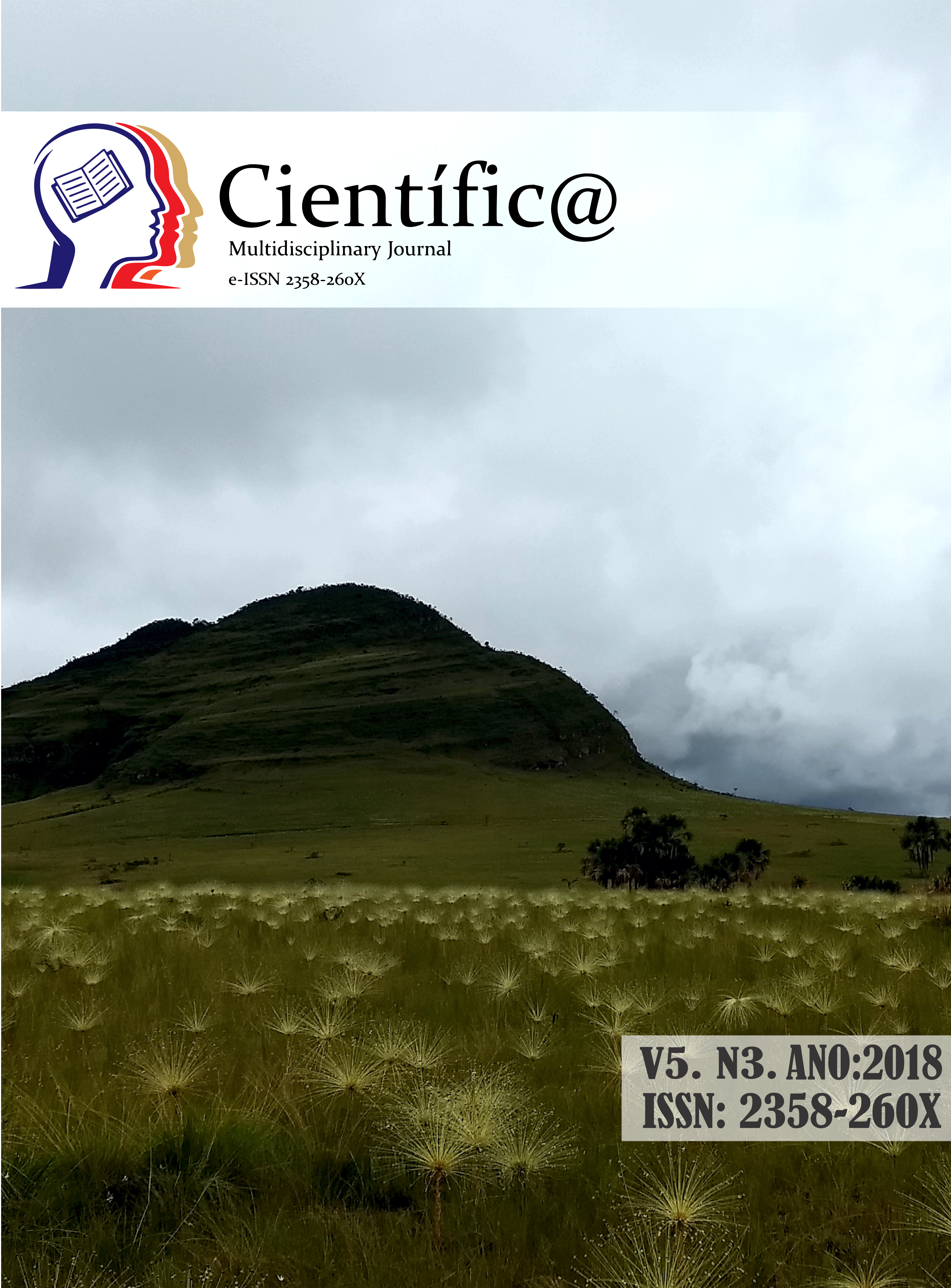 					View Vol. 5 No. 3 (2018): Científic@ - Multidisciplinary Journal - ISSN 2358-260X
				
