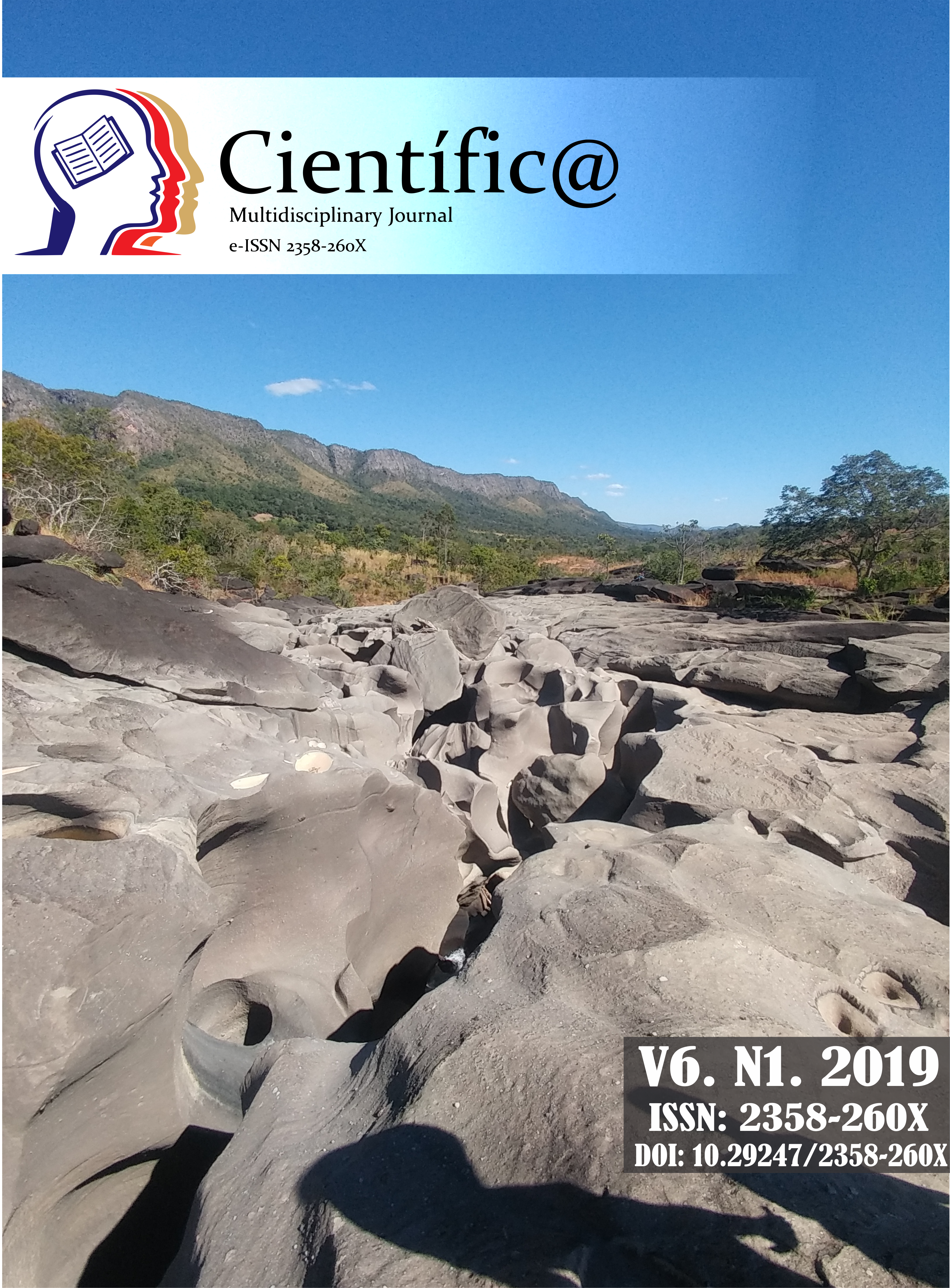 					View Vol. 6 No. 1 (2019): Científic@ - Multidisciplinary Journal - ISSN 2358-260X
				